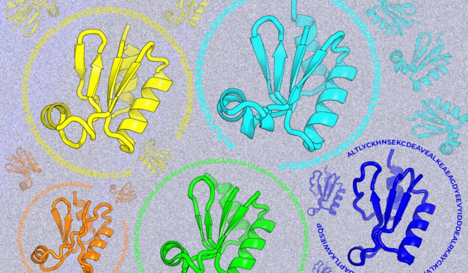 Looking beyond natural sequences | MIT News