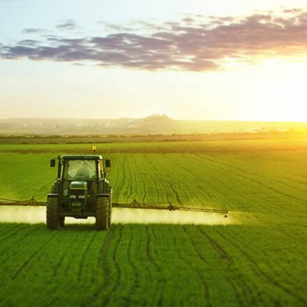 Tractor spraying a field of wheat with fertilizer