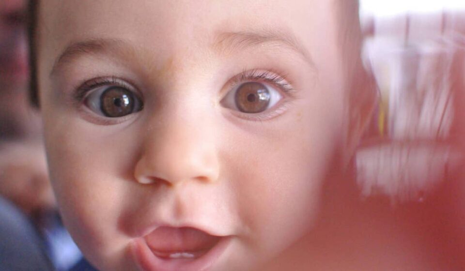 Brand created to help moms files Chapter 11 bankruptcy